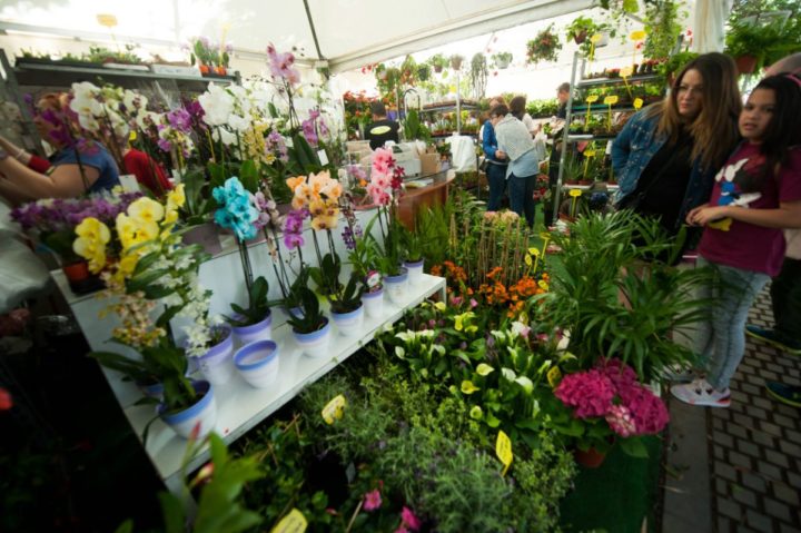 Bloemen- en plantenbeurs Santa Cruz