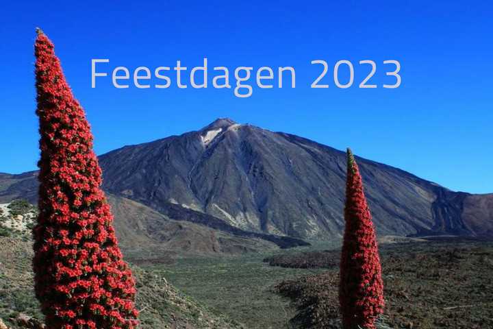 Feestdagen Tenerife 2023 - El Teide met op de voorgrond 2 tajinastes